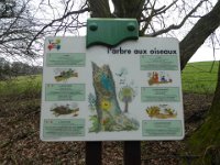 Sortie Phalsbourg CV Wingen 28 02 2016 (13)